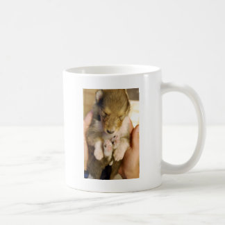 生まれたばかりのなコリーの子犬 コーヒーマグカップ