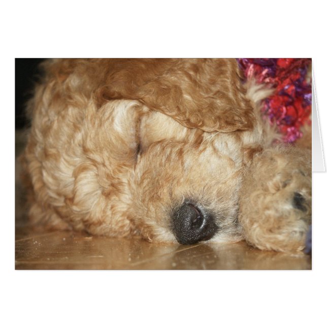 生まれたばかりのなシリーズ02 (正面横)