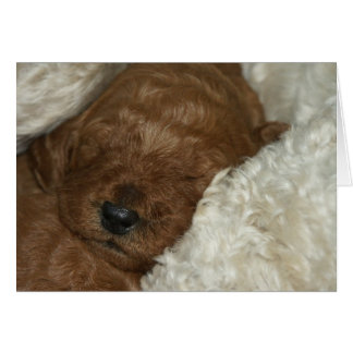 生まれたばかりのなシリーズ04