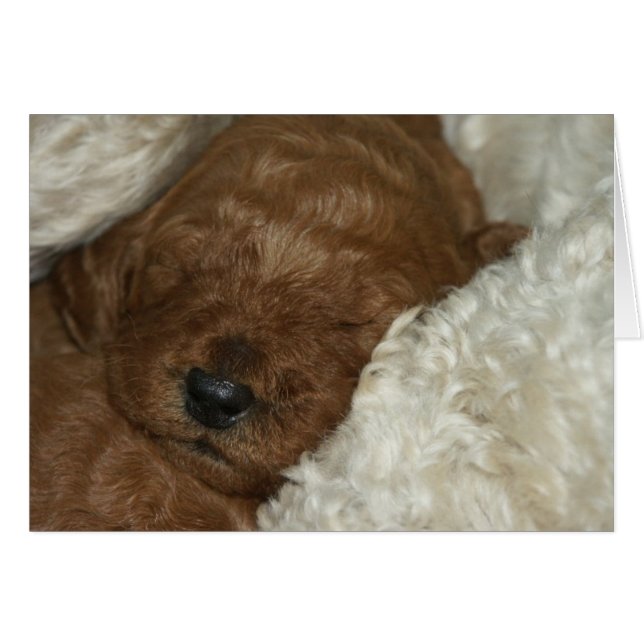 生まれたばかりのなシリーズ04 (正面横)