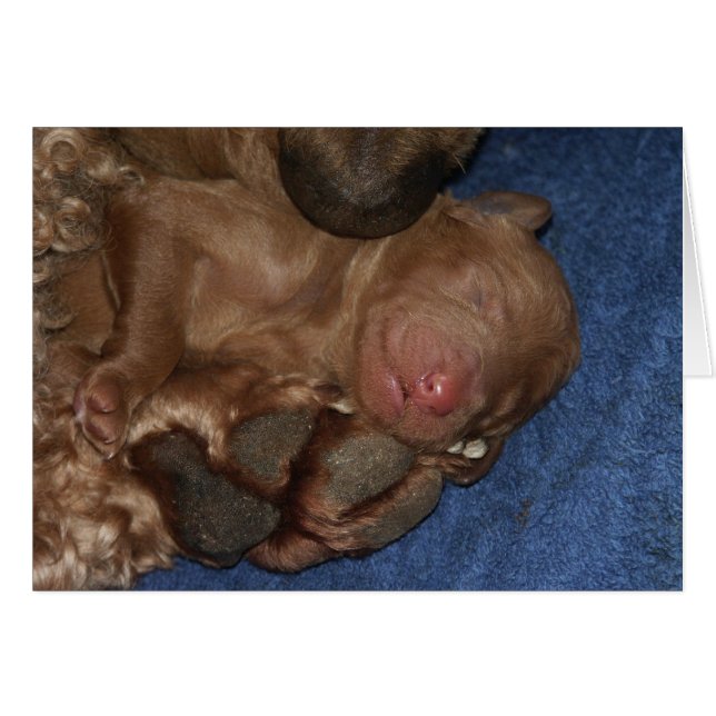 生まれたばかりのなシリーズ05 (正面横)