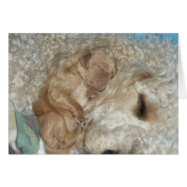 生まれたばかりのなシリーズ06 (正面横)