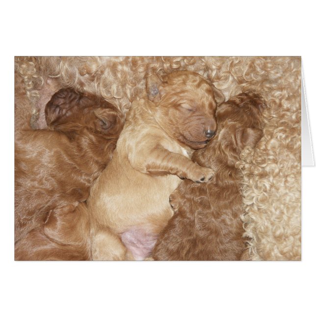 生まれたばかりのなシリーズ08 (正面横)