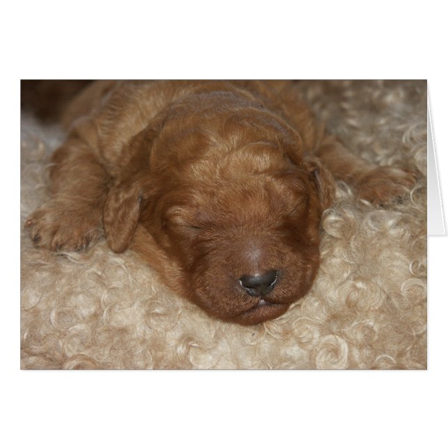 生まれたばかりのなシリーズ10 (正面横)