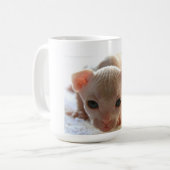 生まれたばかりのなスフィンクスの子ネコ コーヒーマグカップ (正面左)