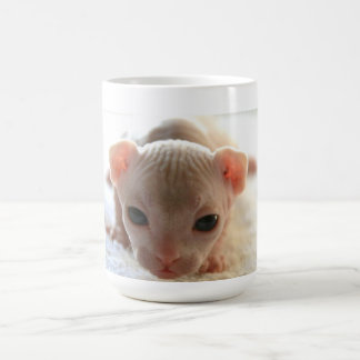 生まれたばかりのなスフィンクスの子ネコ コーヒーマグカップ