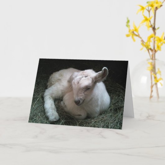 生まれたばかりのなヤギの子供の挨拶状 カード (黄色い花)