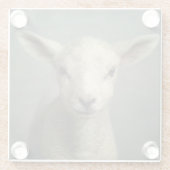 生まれたばかりのな子ヒツジ ガラスコースター (裏面)