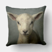 生まれたばかりのな子ヒツジ クッション (裏面)