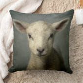 生まれたばかりのな子ヒツジ クッション (ブランケット)