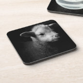 生まれたばかりのな子ヒツジ コースター (左側)