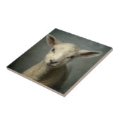 生まれたばかりのな子ヒツジ タイル (側面)