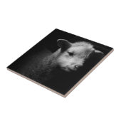 生まれたばかりのな子ヒツジ タイル (側面)