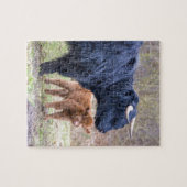 生まれたばかりのの黒いスコットランドの高地居住者の母牛 ジグソーパズル (横)