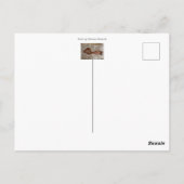 生まれたばかりのふくらはぎカスタム ポストカード (裏面)