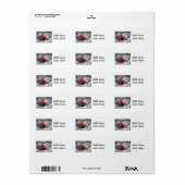 生まれたばかりの男の赤ちゃん ラベル (フルシート)