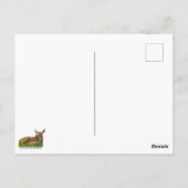 生まれたばかりの顔 ポストカード (裏面)