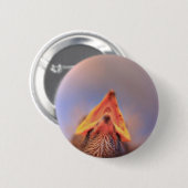 生まれたばかりの鳥2 缶バッジ (正面&裏面)