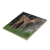 生まれたばかりの鹿の子 タイル (側面)