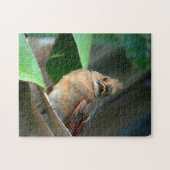 生まれたばかりの(鳥)ショウジョウコウカンチョウ写真 ジグソーパズル (横)