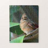 生まれたばかりの(鳥)ショウジョウコウカンチョウ写真 ジグソーパズル (縦)