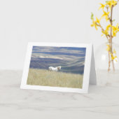 生まれる自由なムスタングの馬 カード (黄色い花)