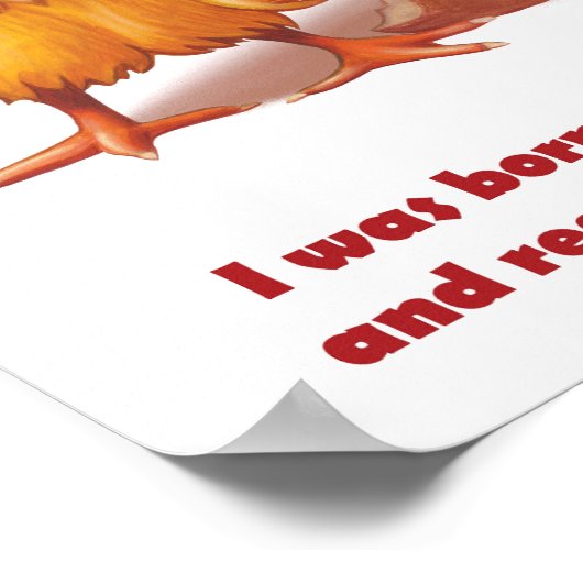 生まれ戦 ポスター (角)