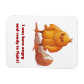 生まれ戦 マグネット (横)