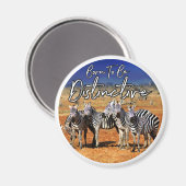 「生まれ目立つ」ゼブラのアート マグネット (正面/裏面)