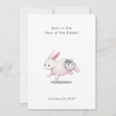 「生まれIn the Year of the Rabbit」ベビー (正面)