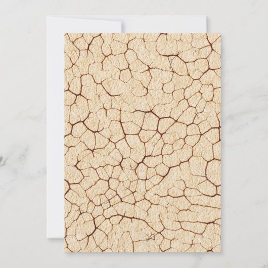 生まれTWO BE野生誕生日招待状 招待状 (裏面)