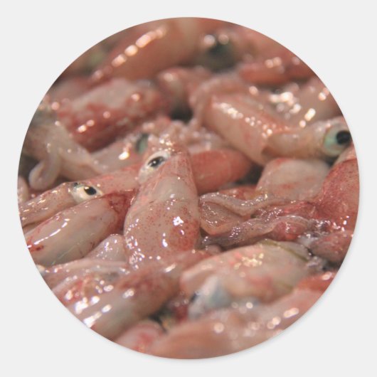 生イカのステッカー ラウンドシール (正面)