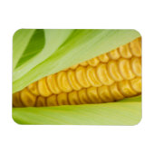 生コーン磁石 マグネット (横)