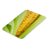 生コーン磁石 マグネット (左側)