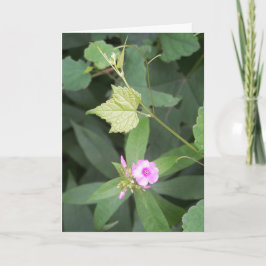 生シンプルきている…Isシンプル Flower引用文 カード