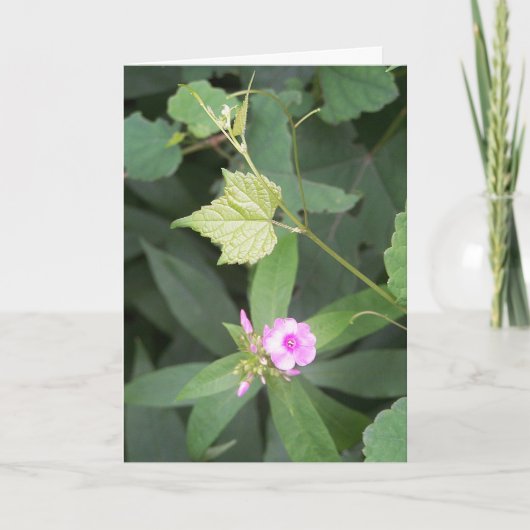 生シンプルきている…Isシンプル Flower引用文 カード (正面)