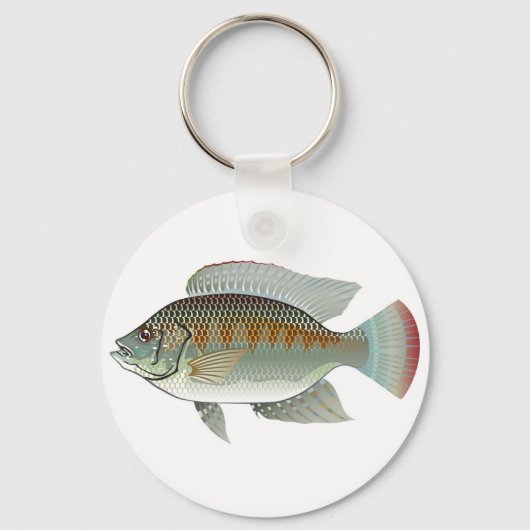 生シーフードティラピア魚ベクター キーホルダー (正面)