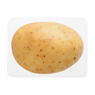 生ポテト マグネット