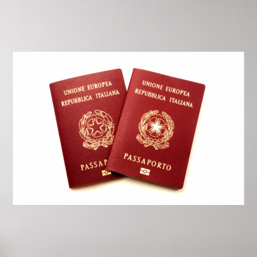 生体認証イタリアンeパスポート ポスター (正面)