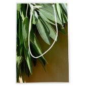 生刈りセージ ミディアムペーパーバッグ (正面)