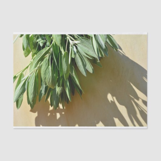 生刈りセージ 薄葉紙 (正面)