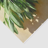 生刈りセージ 薄葉紙 (詳細)