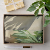 生刈りセージ 薄葉紙 (ギフト)