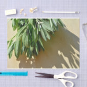 生刈りセージ 薄葉紙 (クラフト)