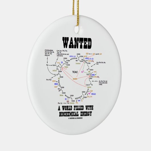 生化学的エネルギーに満ちた世界を求められる セラミックオーナメント (右)