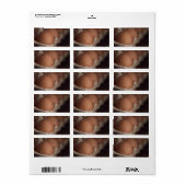 生卵を養殖する ラベル (フルシート)