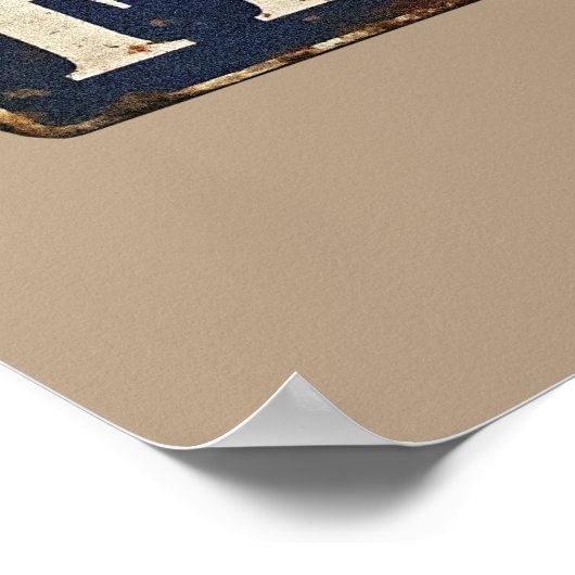 生卵 ポスター (角)