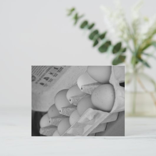 生卵 ポストカード (スタンド正面)