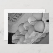 生卵 ポストカード (正面/裏面)