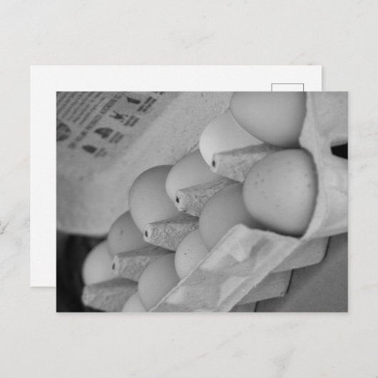 生卵 ポストカード (正面/裏面)